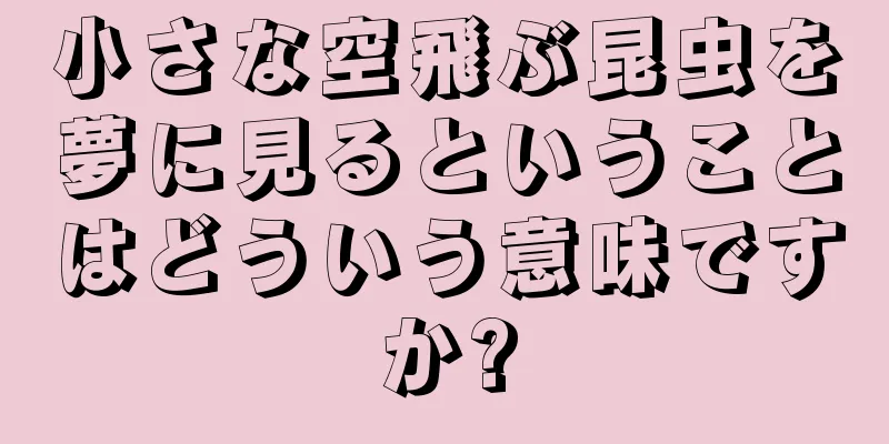 小さな空飛ぶ昆虫を夢に見るということはどういう意味ですか?