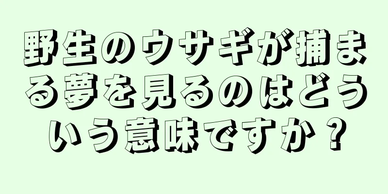 野生のウサギが捕まる夢を見るのはどういう意味ですか？