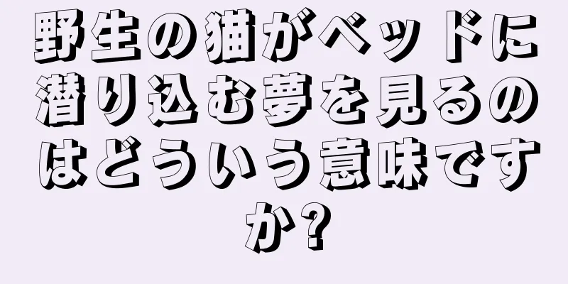野生の猫がベッドに潜り込む夢を見るのはどういう意味ですか?