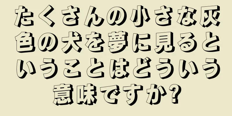 たくさんの小さな灰色の犬を夢に見るということはどういう意味ですか?