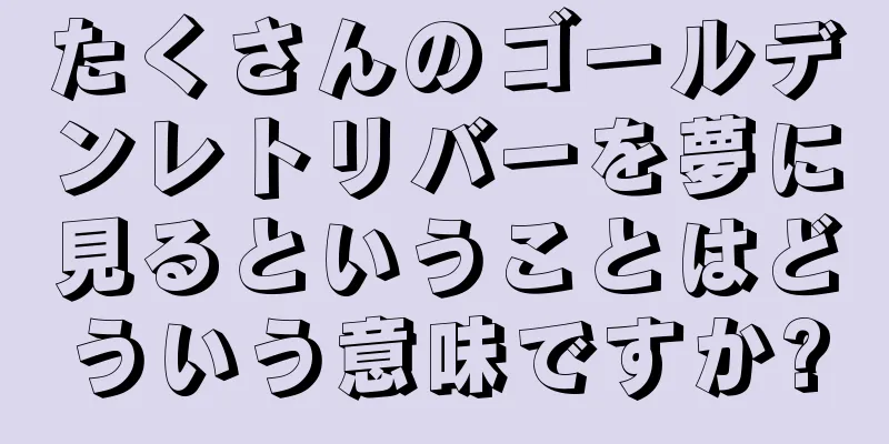 たくさんのゴールデンレトリバーを夢に見るということはどういう意味ですか?
