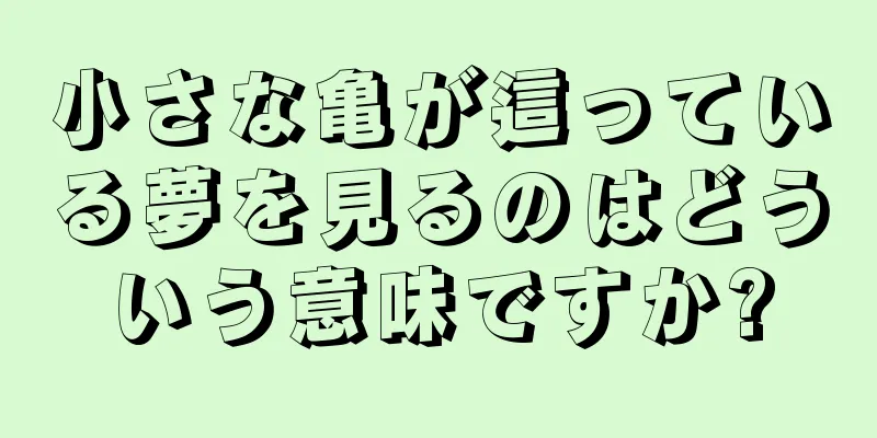 小さな亀が這っている夢を見るのはどういう意味ですか?