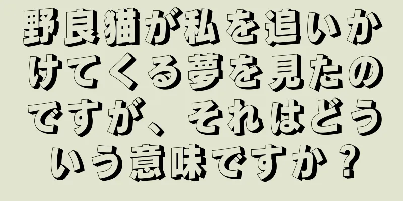 野良猫が私を追いかけてくる夢を見たのですが、それはどういう意味ですか？