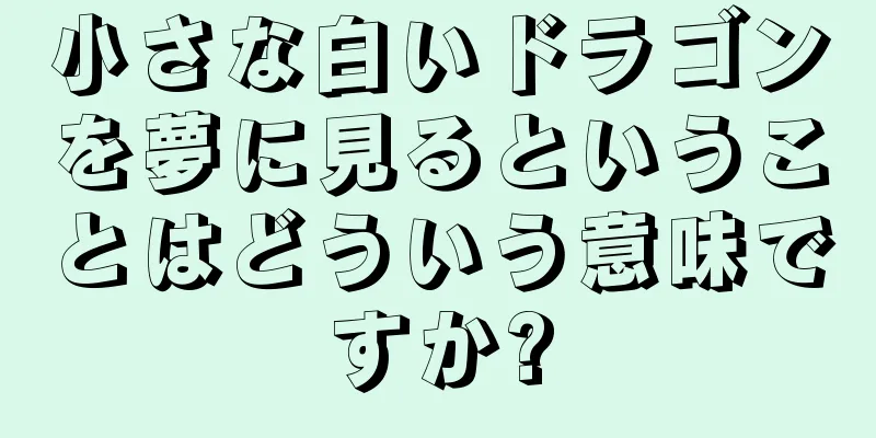 小さな白いドラゴンを夢に見るということはどういう意味ですか?