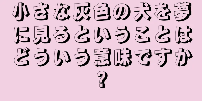 小さな灰色の犬を夢に見るということはどういう意味ですか?