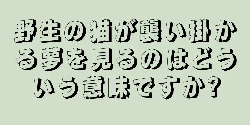 野生の猫が襲い掛かる夢を見るのはどういう意味ですか?