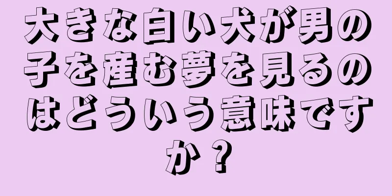 大きな白い犬が男の子を産む夢を見るのはどういう意味ですか？