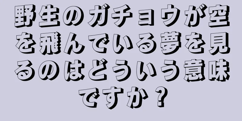 野生のガチョウが空を飛んでいる夢を見るのはどういう意味ですか？
