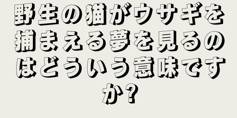 野生の猫がウサギを捕まえる夢を見るのはどういう意味ですか?
