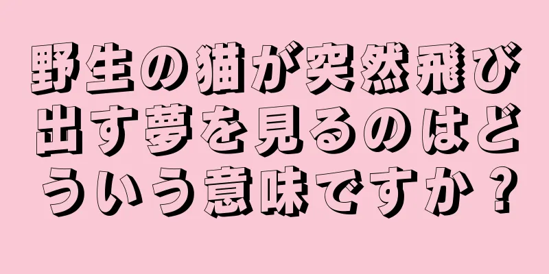 野生の猫が突然飛び出す夢を見るのはどういう意味ですか？