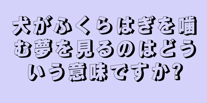 犬がふくらはぎを噛む夢を見るのはどういう意味ですか?