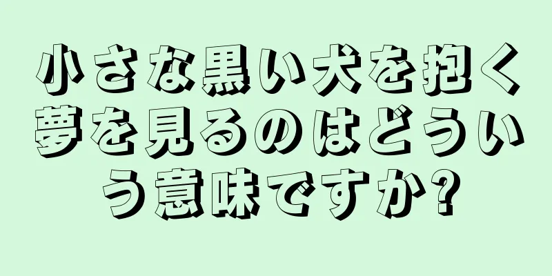 小さな黒い犬を抱く夢を見るのはどういう意味ですか?