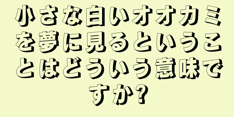 小さな白いオオカミを夢に見るということはどういう意味ですか?