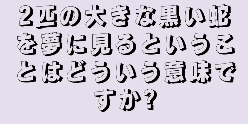 2匹の大きな黒い蛇を夢に見るということはどういう意味ですか?