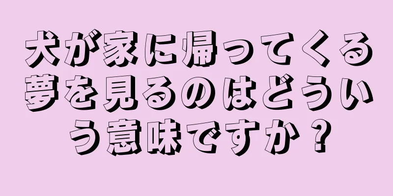 犬が家に帰ってくる夢を見るのはどういう意味ですか？