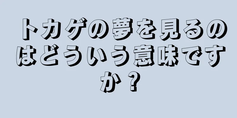 トカゲの夢を見るのはどういう意味ですか？