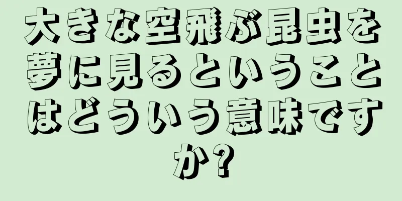 大きな空飛ぶ昆虫を夢に見るということはどういう意味ですか?