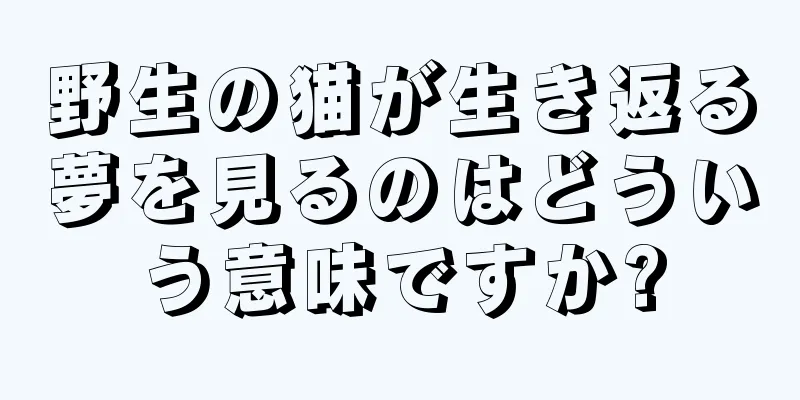 野生の猫が生き返る夢を見るのはどういう意味ですか?
