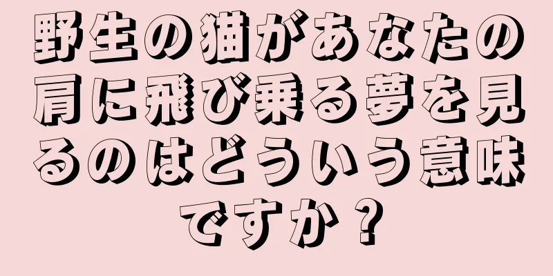 野生の猫があなたの肩に飛び乗る夢を見るのはどういう意味ですか？