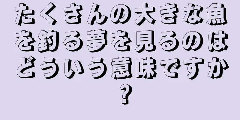 たくさんの大きな魚を釣る夢を見るのはどういう意味ですか？
