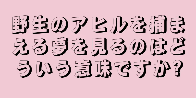 野生のアヒルを捕まえる夢を見るのはどういう意味ですか?