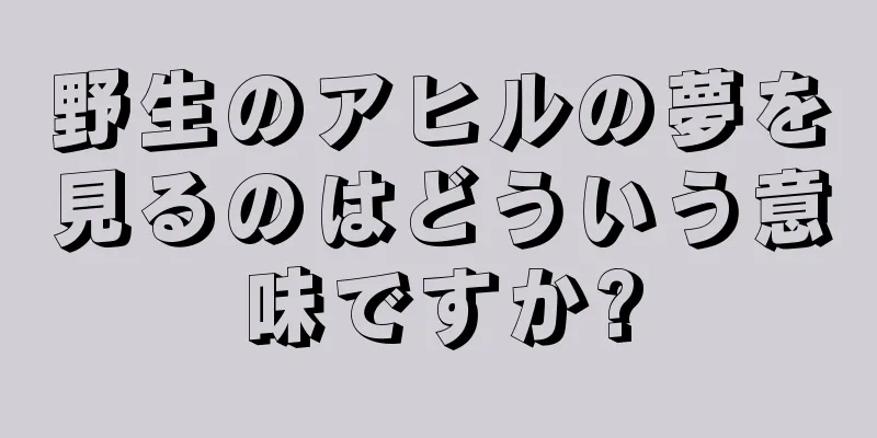 野生のアヒルの夢を見るのはどういう意味ですか?