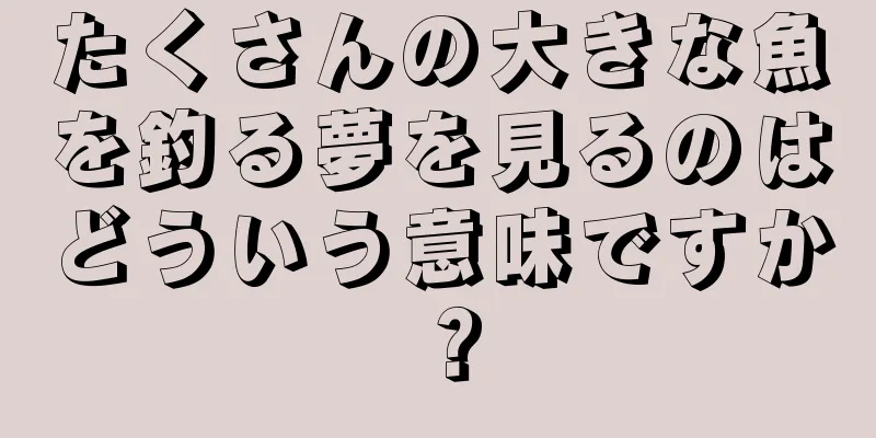 たくさんの大きな魚を釣る夢を見るのはどういう意味ですか？