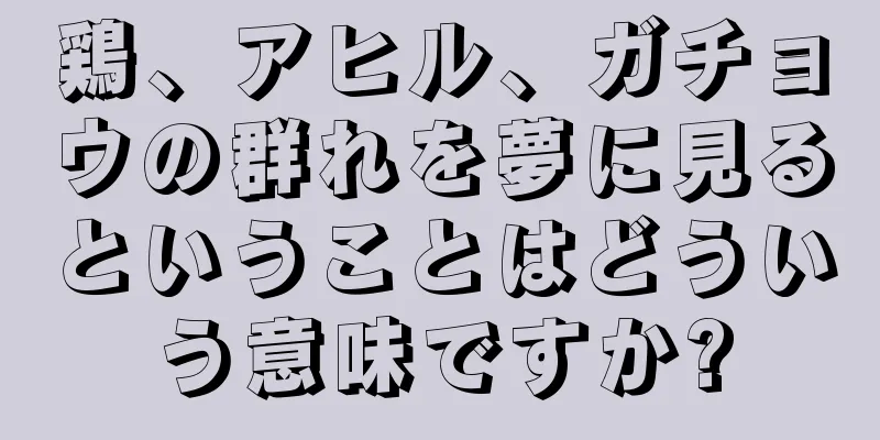 鶏、アヒル、ガチョウの群れを夢に見るということはどういう意味ですか?