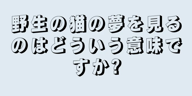 野生の猫の夢を見るのはどういう意味ですか?