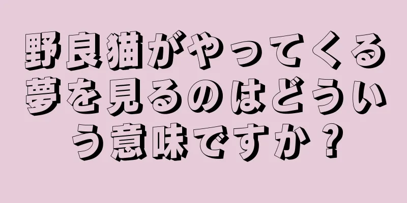 野良猫がやってくる夢を見るのはどういう意味ですか？
