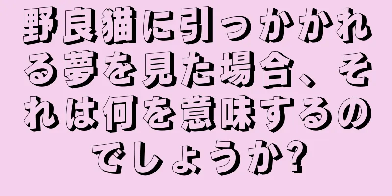 野良猫に引っかかれる夢を見た場合、それは何を意味するのでしょうか?