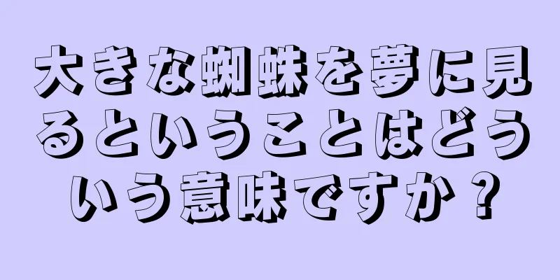 大きな蜘蛛を夢に見るということはどういう意味ですか？