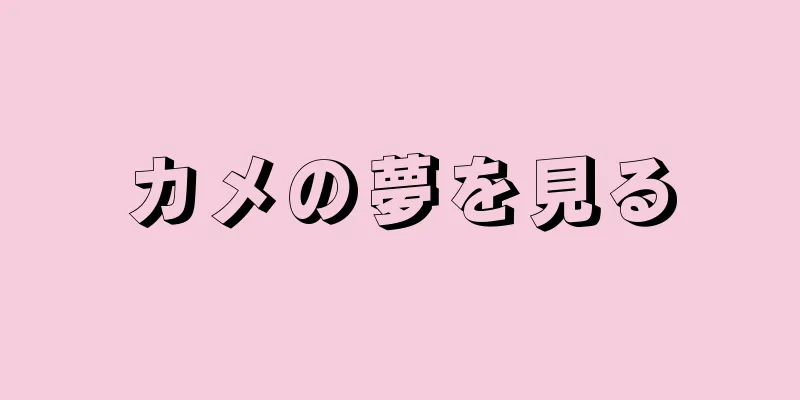 カメの夢を見る