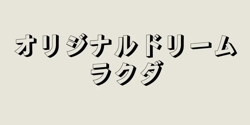 オリジナルドリームラクダ