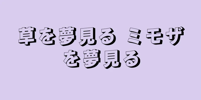 草を夢見る ミモザを夢見る
