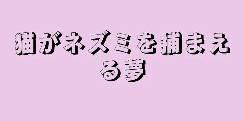 猫がネズミを捕まえる夢
