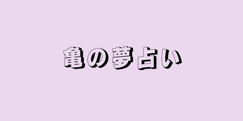 亀の夢占い
