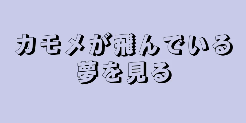 カモメが飛んでいる夢を見る
