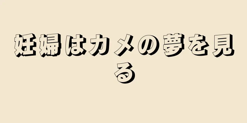妊婦はカメの夢を見る