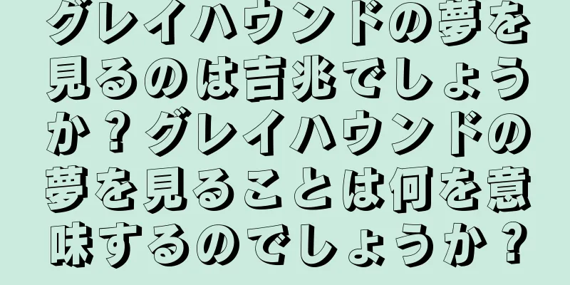 グレイハウンドの夢を見るのは吉兆でしょうか？グレイハウンドの夢を見ることは何を意味するのでしょうか？