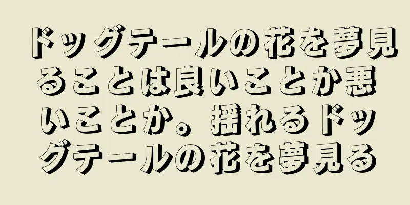 ドッグテールの花を夢見ることは良いことか悪いことか。揺れるドッグテールの花を夢見る