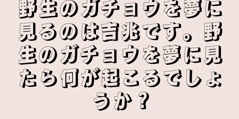 野生のガチョウを夢に見るのは吉兆です。野生のガチョウを夢に見たら何が起こるでしょうか？