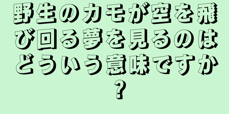 野生のカモが空を飛び回る夢を見るのはどういう意味ですか？
