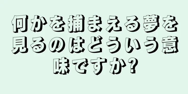 何かを捕まえる夢を見るのはどういう意味ですか?