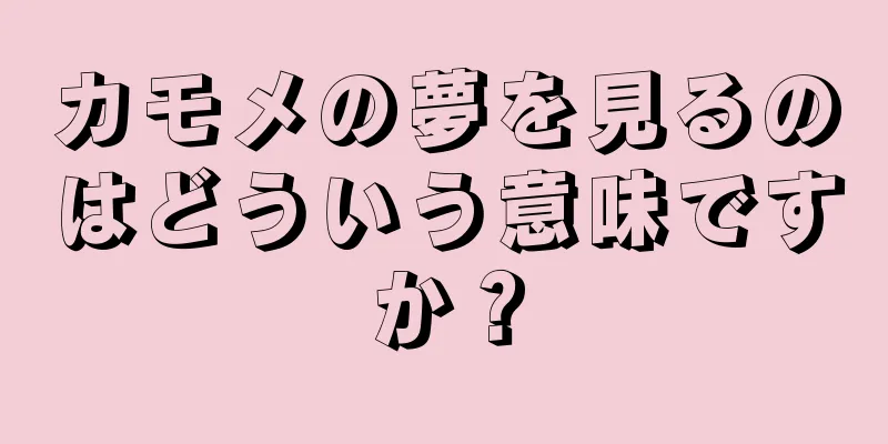 カモメの夢を見るのはどういう意味ですか？