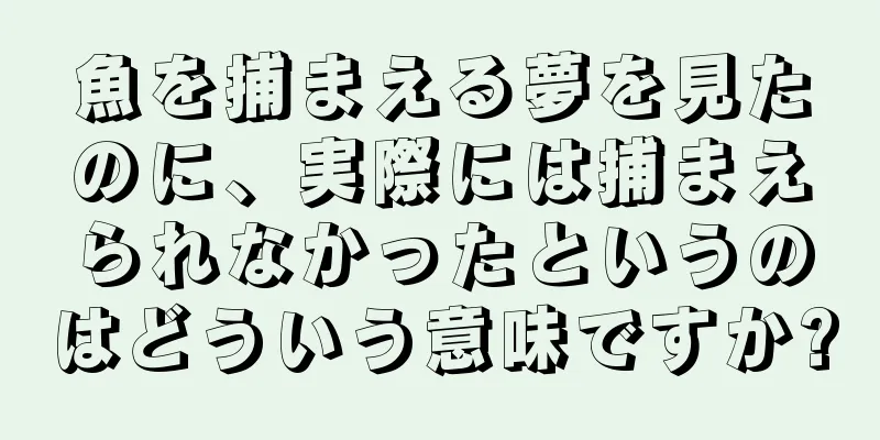 魚を捕まえる夢を見たのに、実際には捕まえられなかったというのはどういう意味ですか?