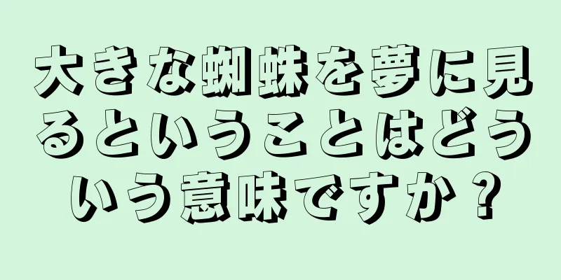 大きな蜘蛛を夢に見るということはどういう意味ですか？