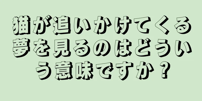 猫が追いかけてくる夢を見るのはどういう意味ですか？