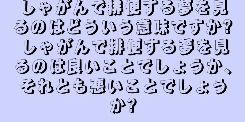 しゃがんで排便する夢を見るのはどういう意味ですか? しゃがんで排便する夢を見るのは良いことでしょうか、それとも悪いことでしょうか?