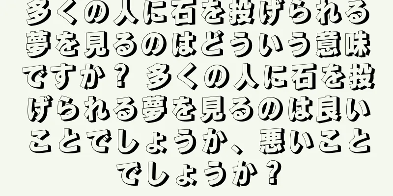 多くの人に石を投げられる夢を見るのはどういう意味ですか？ 多くの人に石を投げられる夢を見るのは良いことでしょうか、悪いことでしょうか？